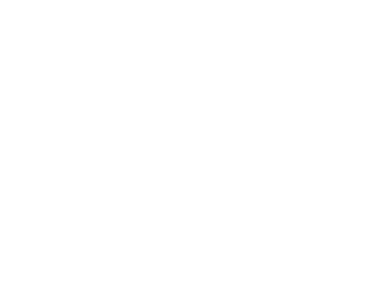 OFFICIAL SELECTION - APOX film festival - 2021