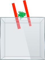 election box